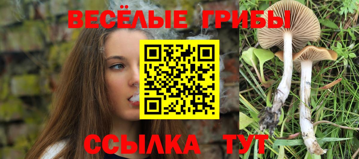 Галлюциногенные грибы MAGIC MUSHROOMS  Вход с VPN  Псилоцибиновые грибы мицелий  Шебекино 