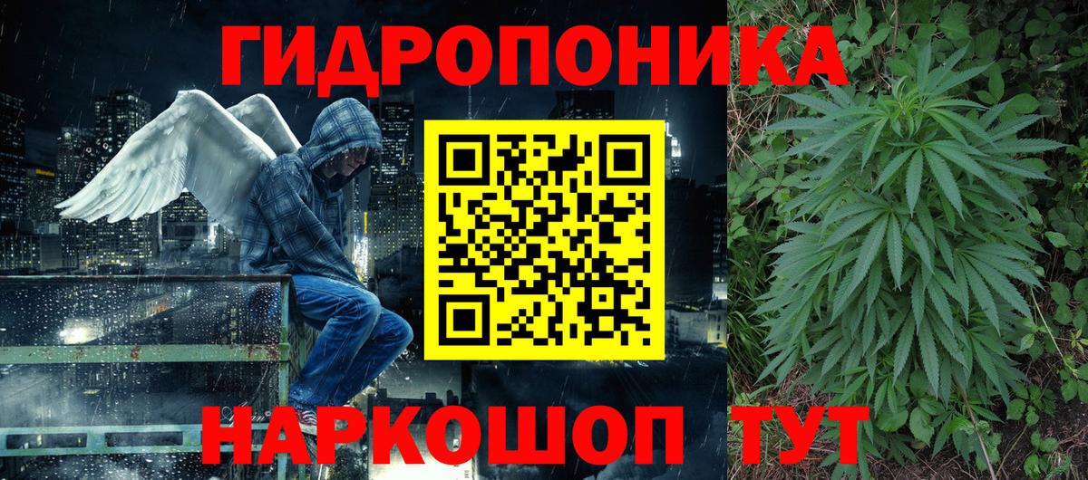 Каннабис сатива  Вход с VPN  Бошки Шишки Amnesia  Шебекино 